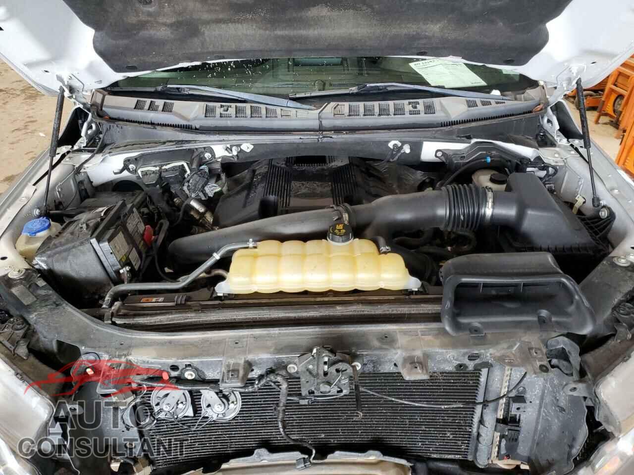 FORD F-150 2019 - 1FTEW1E44KFA85060