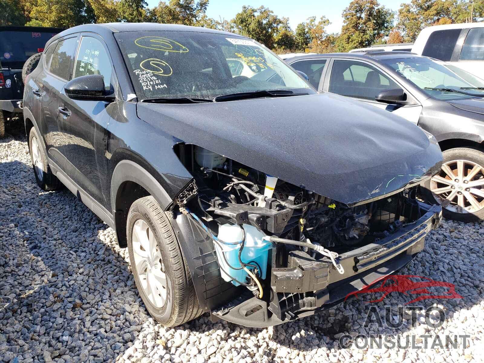 HYUNDAI TUCSON 2019 - KM8J23A42KU050181