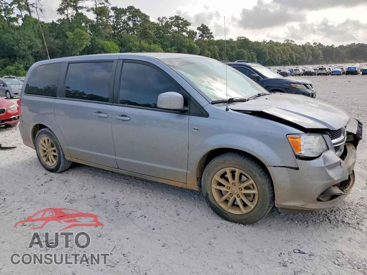 DODGE CARAVAN 2019 - 2C4RDGBG7KR805503