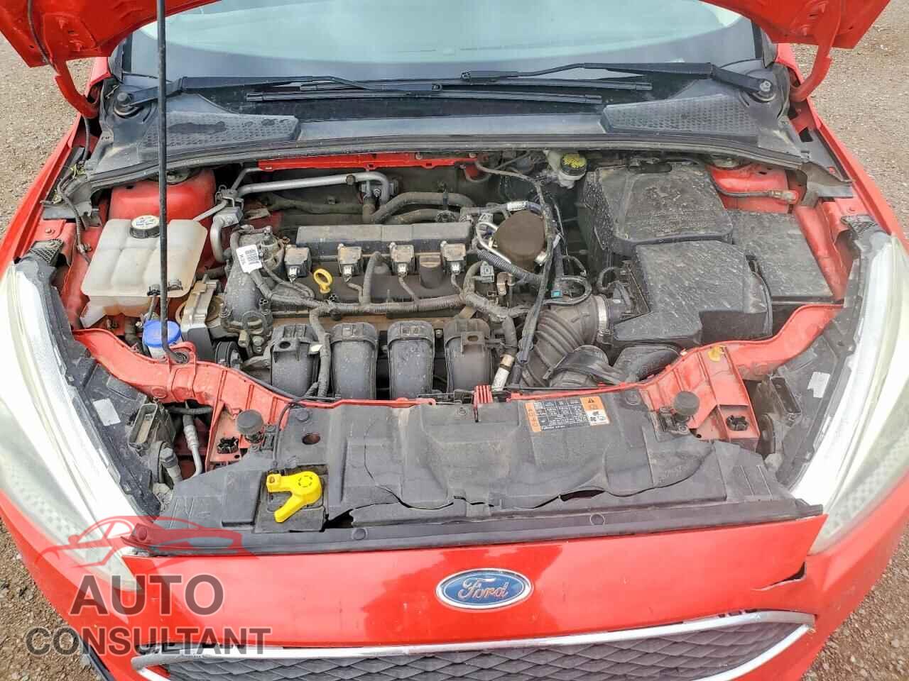 FORD FOCUS 2015 - 1FADP3F25FL324663