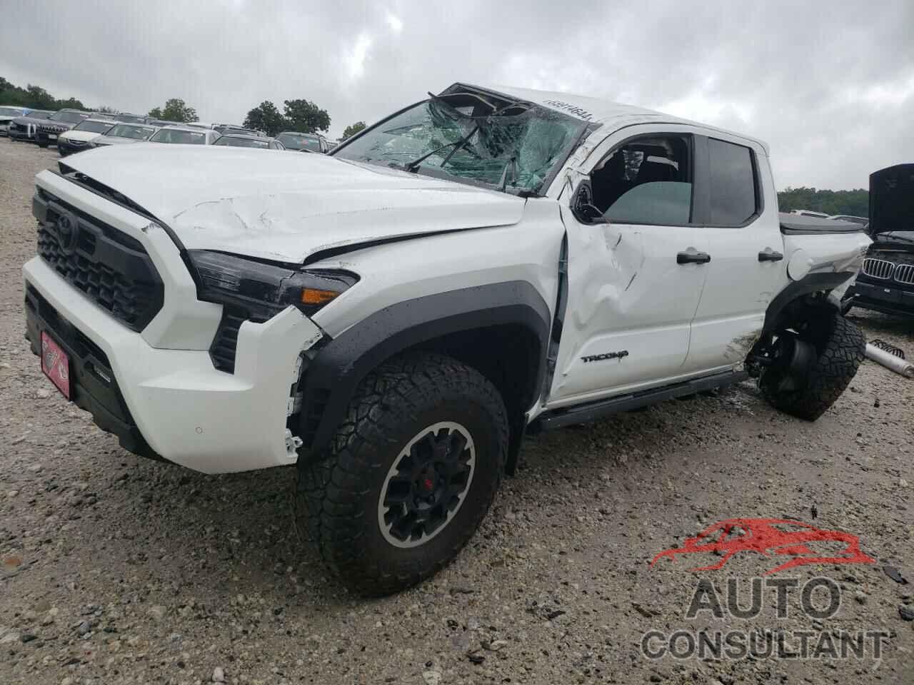 TOYOTA TACOMA 2024 - 3TMLB5JN8RM012146