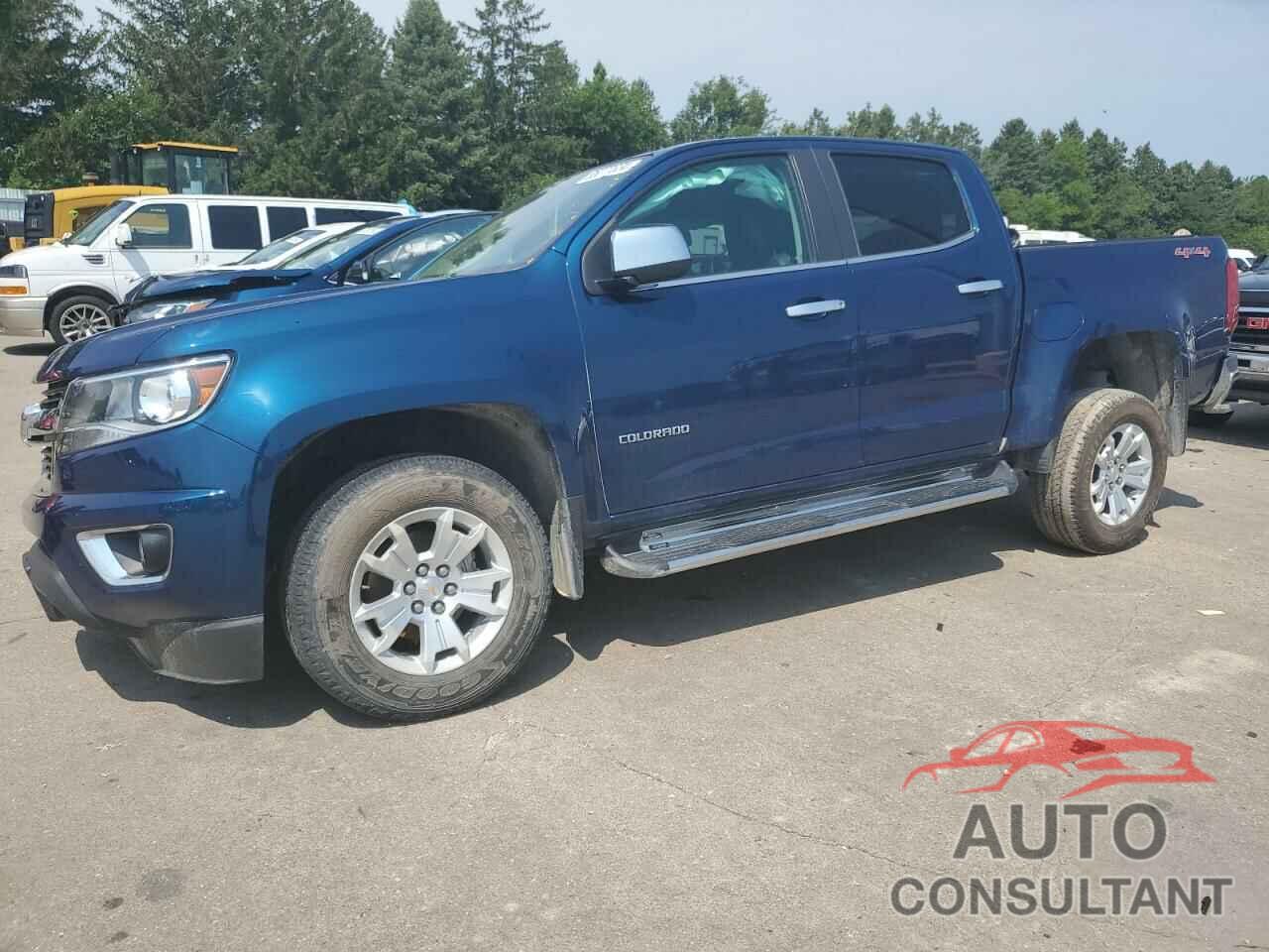 CHEVROLET COLORADO 2019 - 1GCGTCEN2K1317996