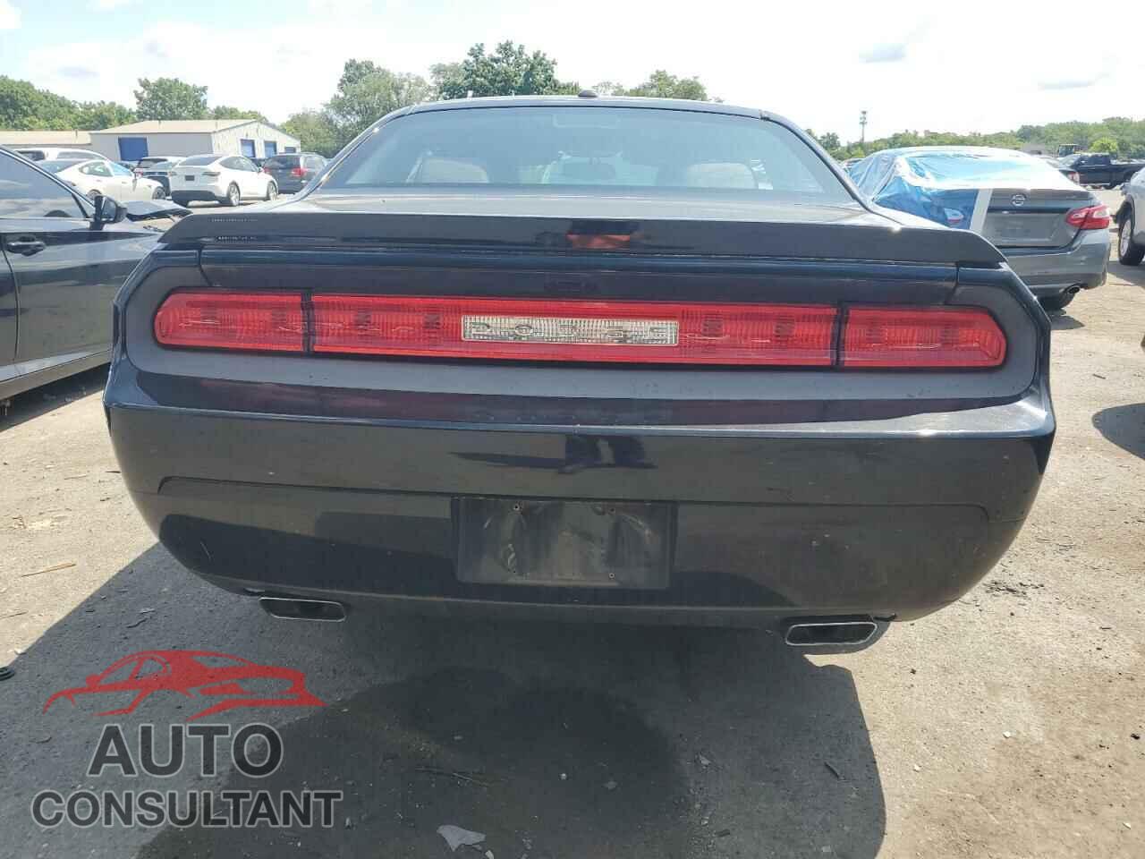 DODGE CHALLENGER 2013 - 2C3CDYBT1DH535366