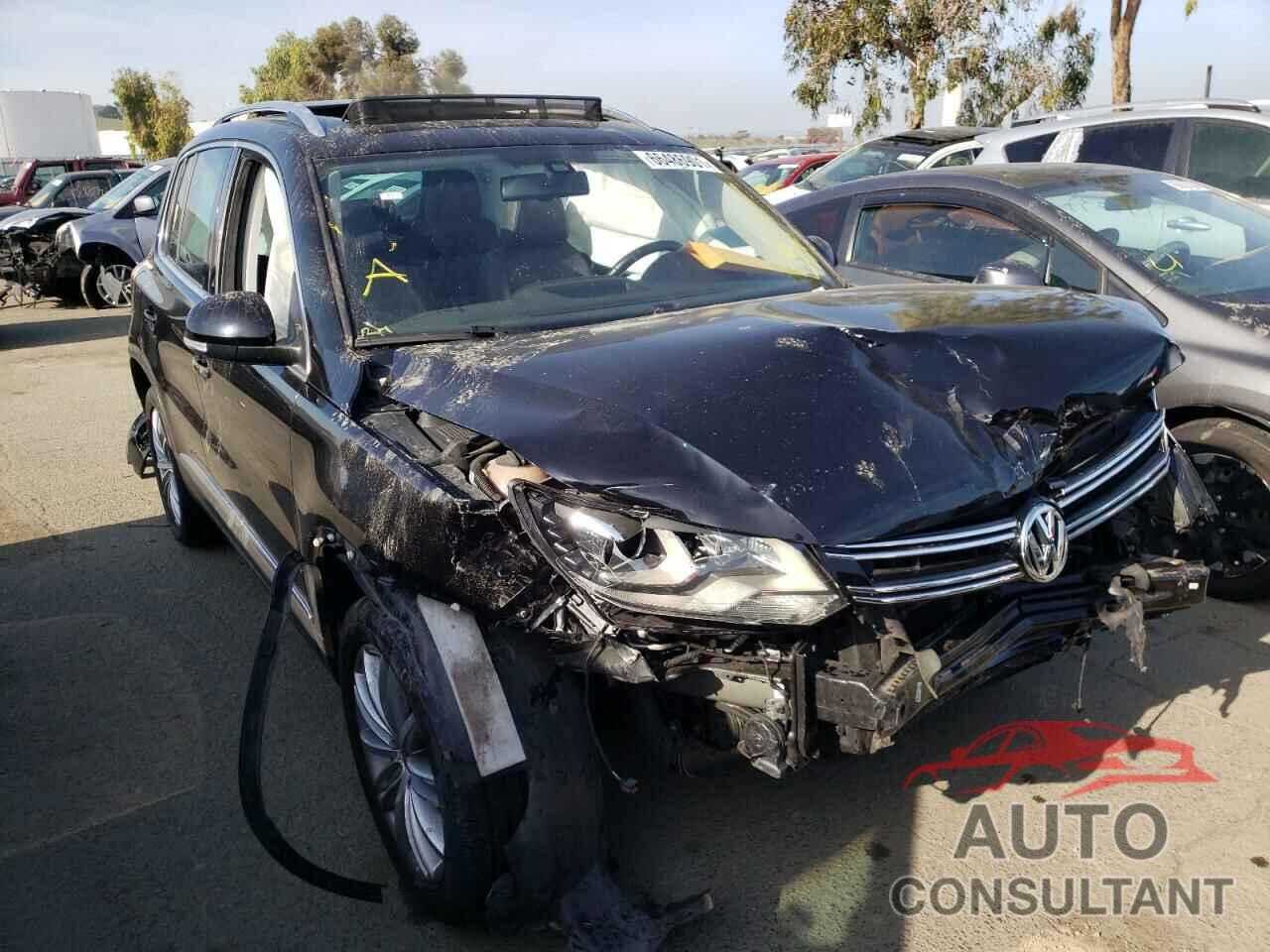 VOLKSWAGEN TIGUAN 2016 - WVGAV7AX9GW501935