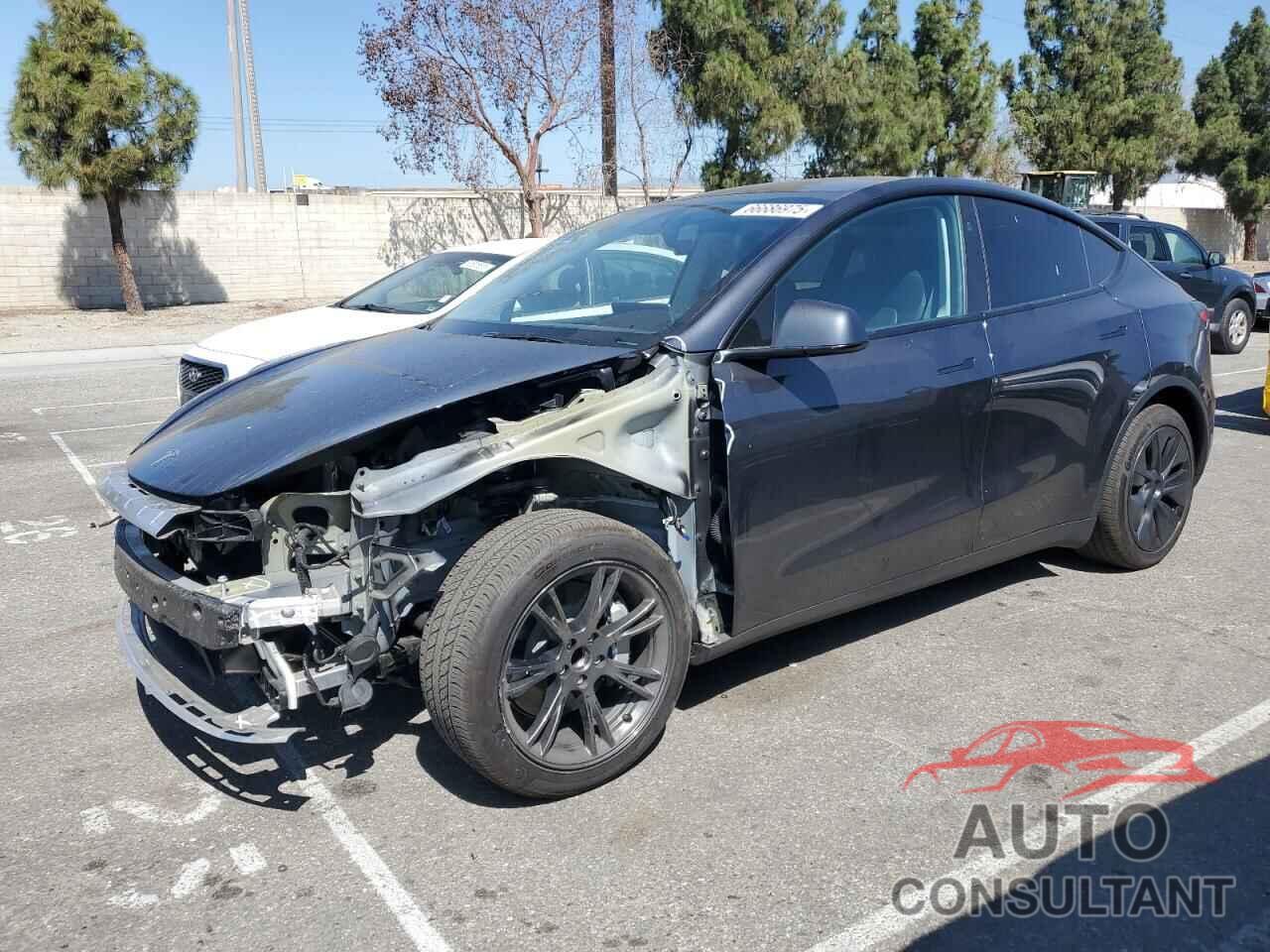 TESLA MODEL Y 2024 - 7SAYGDED7RF115732