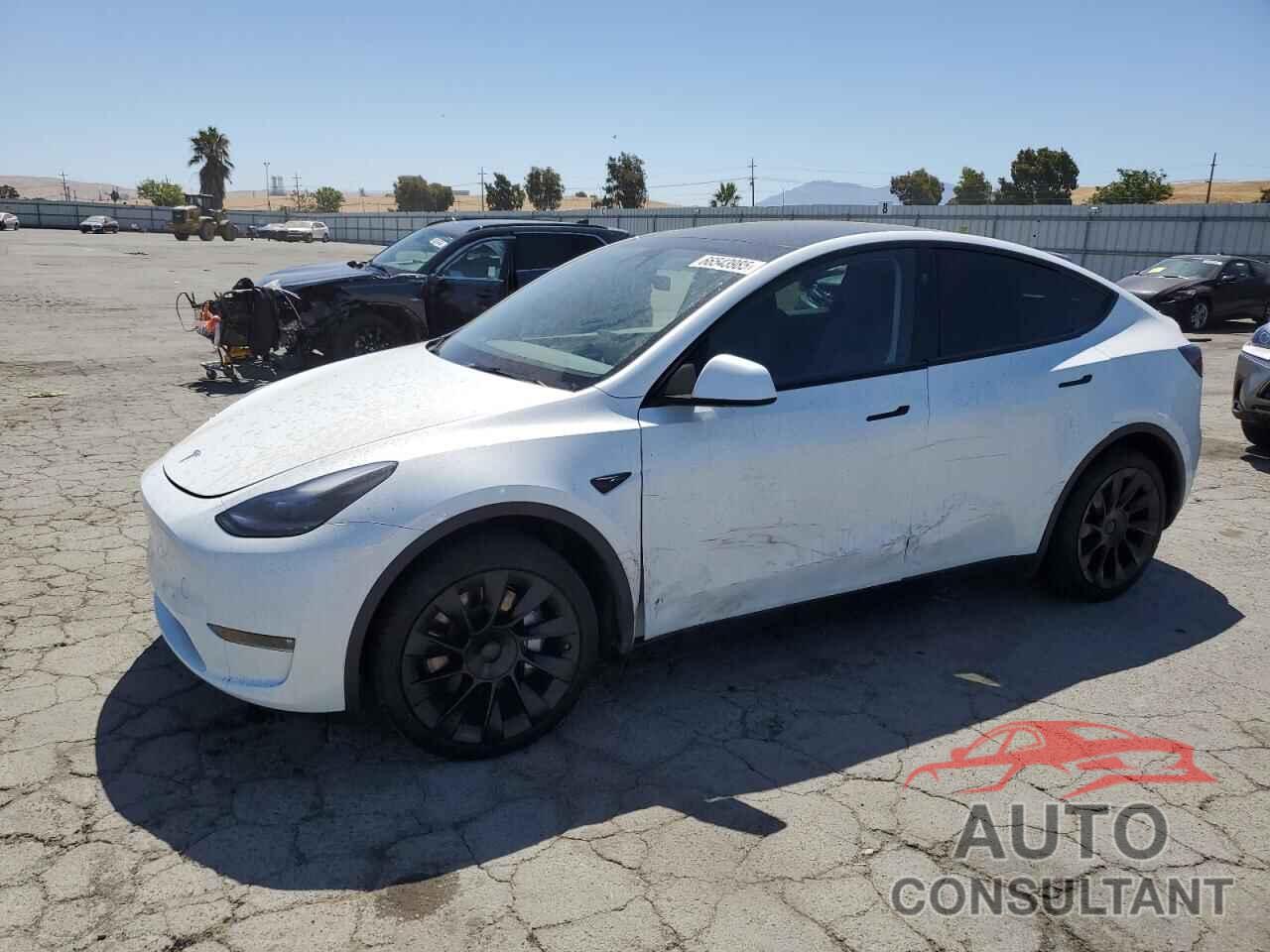 TESLA MODEL Y 2024 - 7SAYGAEE6RF149068