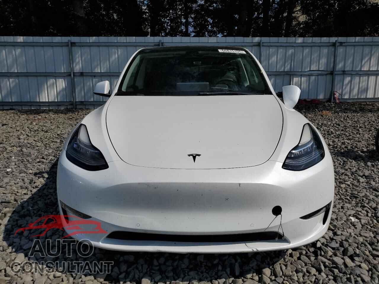 TESLA MODEL Y 2022 - 7SAYGAEE0NF316566