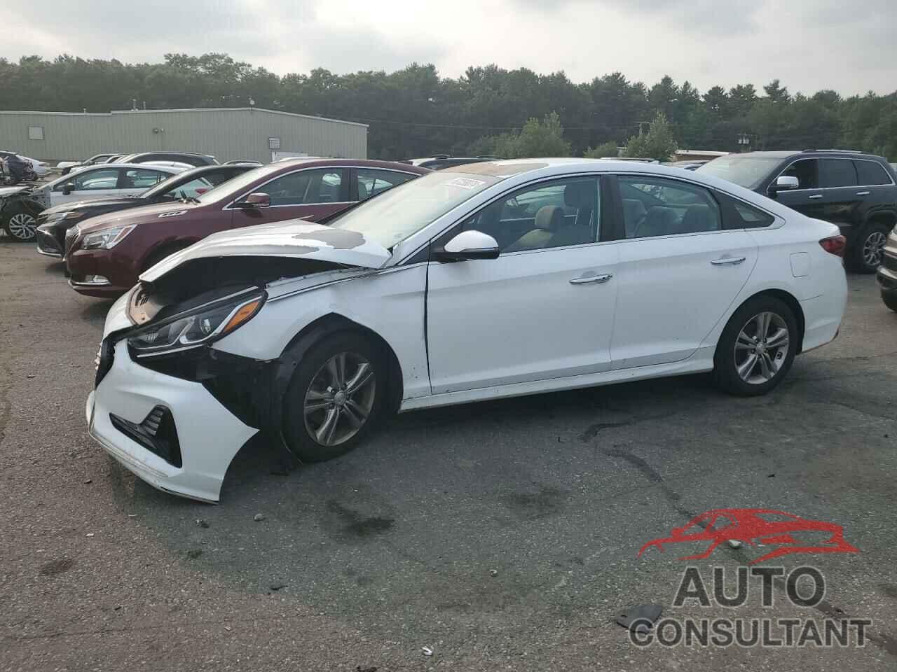 HYUNDAI SONATA 2018 - 5NPE34AF1JH651116