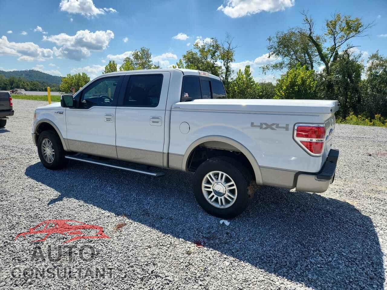 FORD F150 2010 - 1FTFW1EV2AFD90455