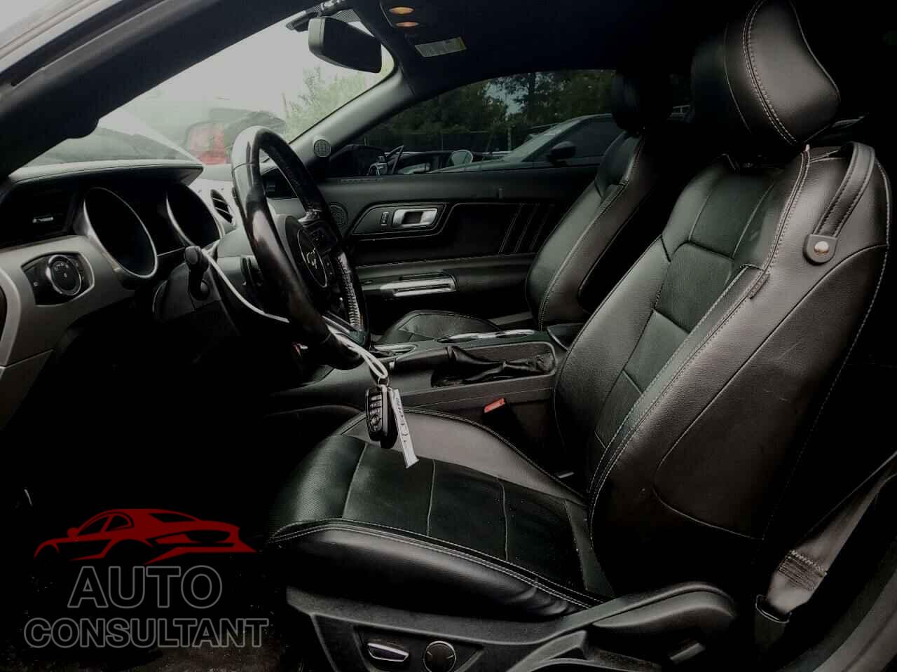 FORD MUSTANG 2019 - 1FA6P8CF9K5153816