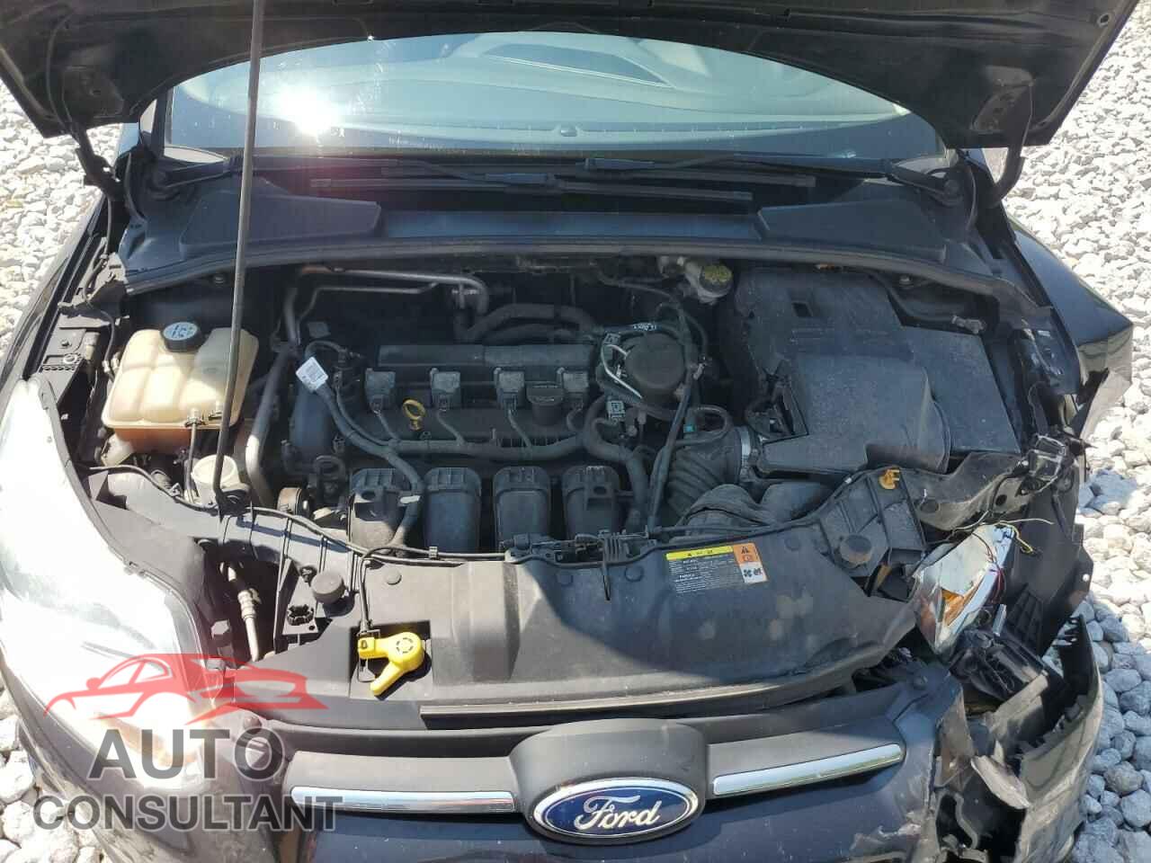 FORD FOCUS 2012 - 1FAHP3K22CL161005
