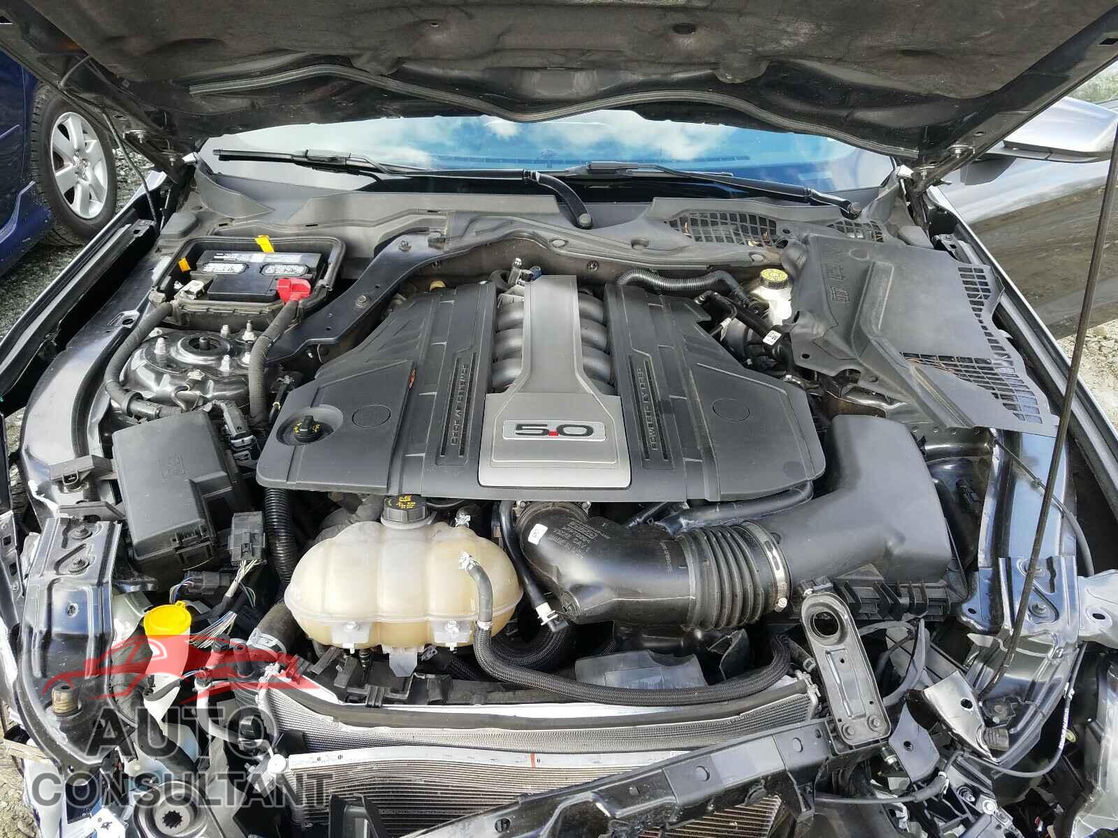 FORD MUSTANG 2019 - 1FA6P8CF6K5141400