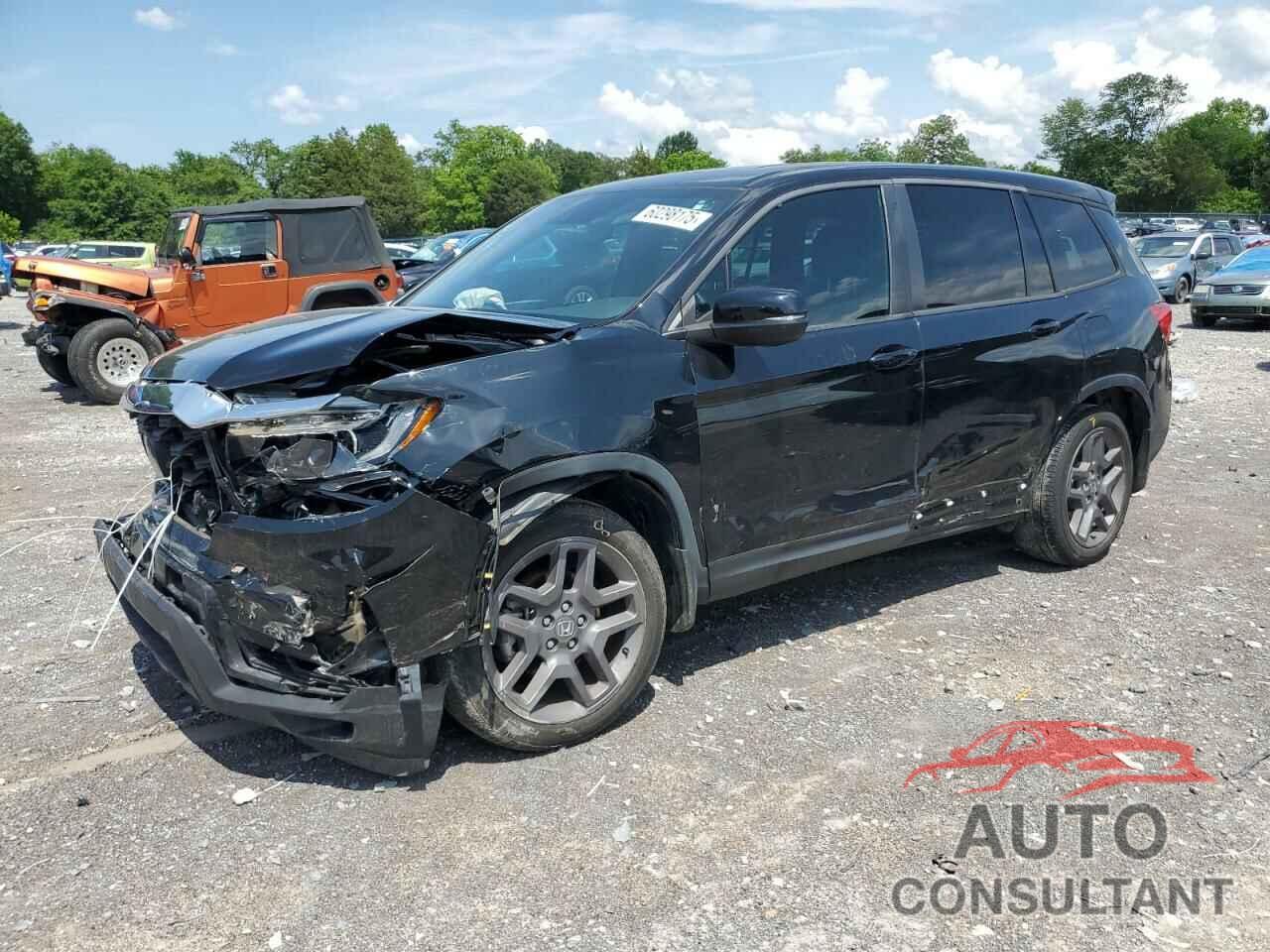 HONDA PASSPORT 2022 - 5FNYF7H53NB005048