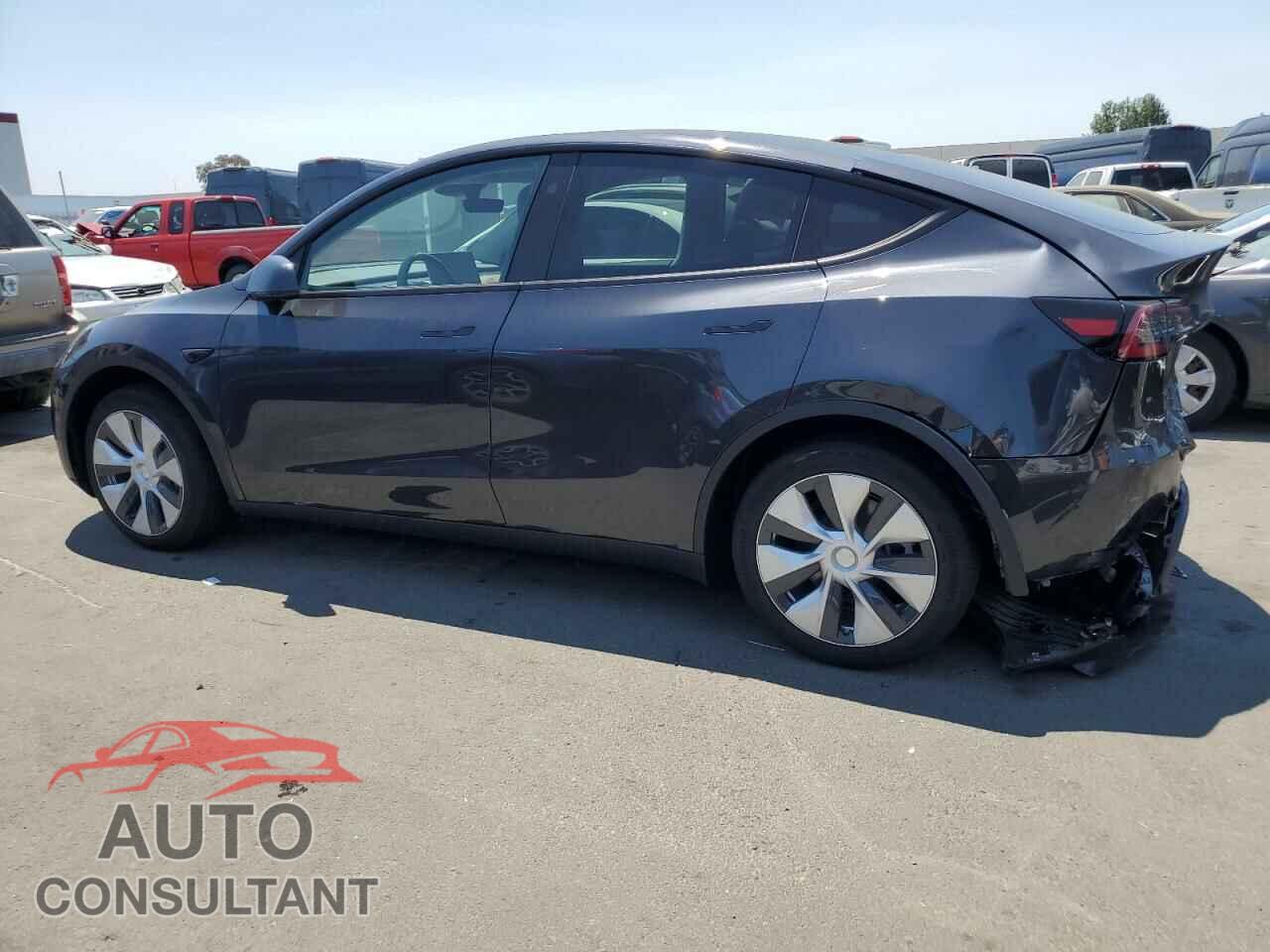 TESLA MODEL Y 2024 - 7SAYGDEE9RF032067