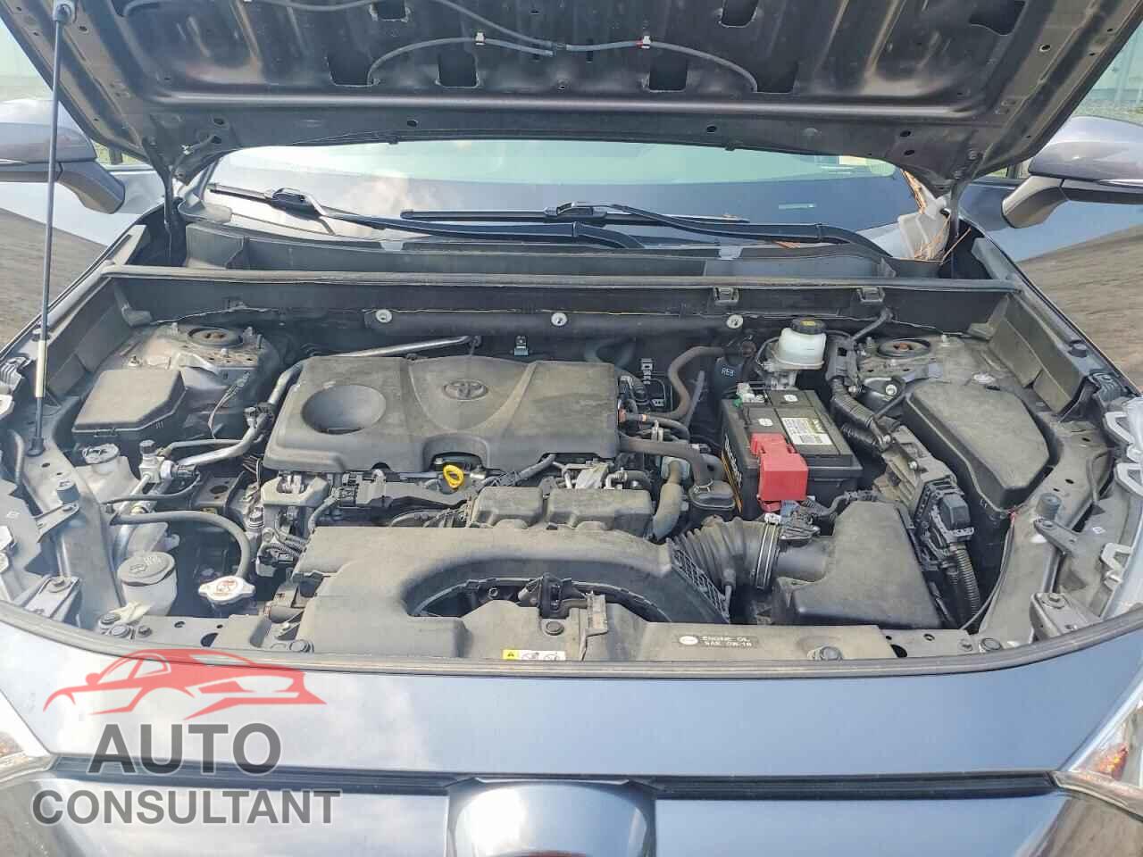 TOYOTA RAV4 2019 - JTMP1RFVXKD041007