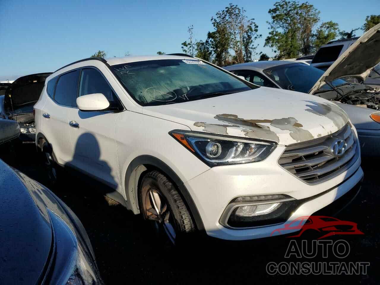 HYUNDAI SANTA FE 2017 - 5NMZU3LB5HH030858