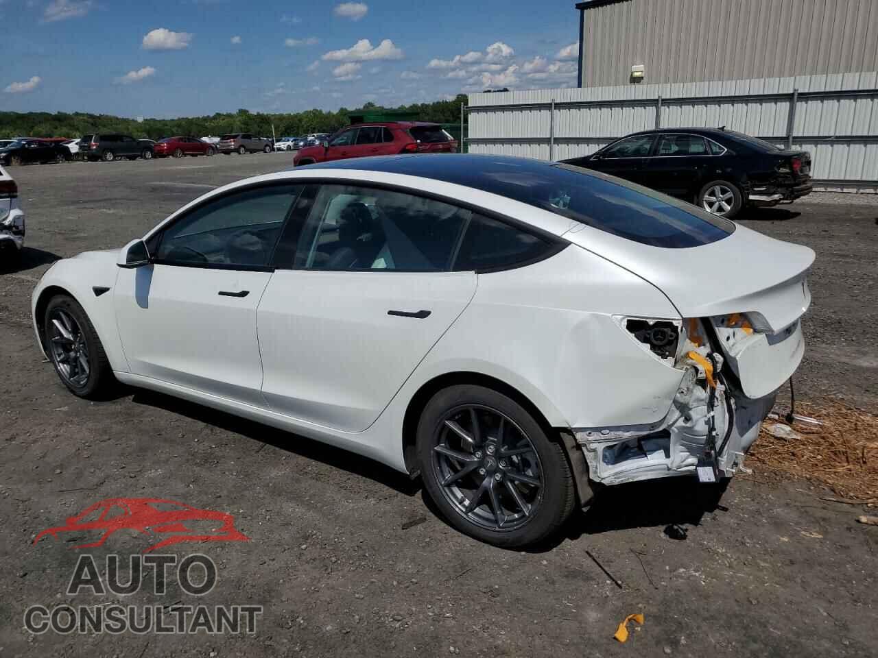 TESLA MODEL 3 2021 - 5YJ3E1EA2MF915204