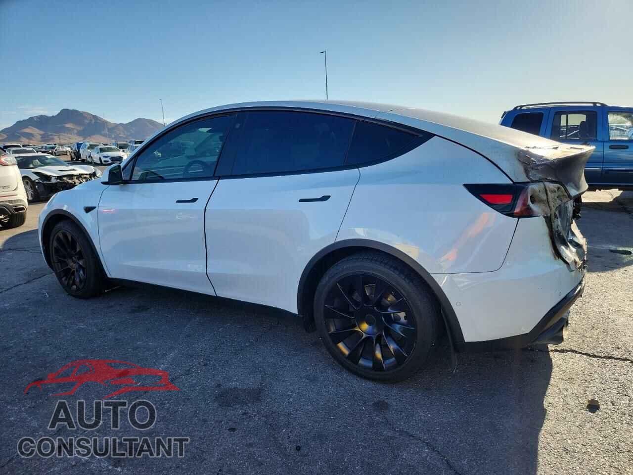 TESLA MODEL Y 2021 - 5YJYGAEE5MF194475