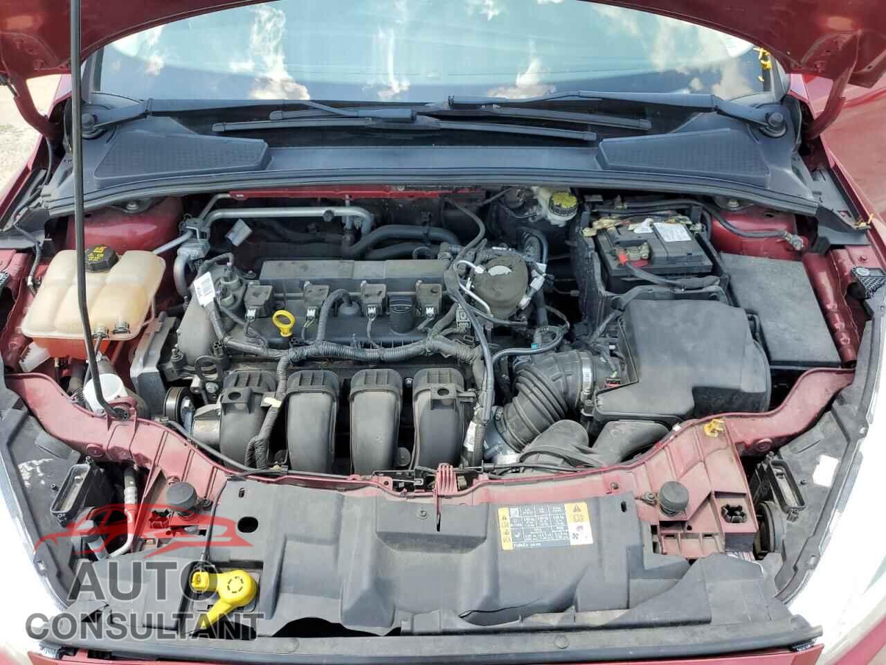 FORD FOCUS 2016 - 1FADP3F21GL280971