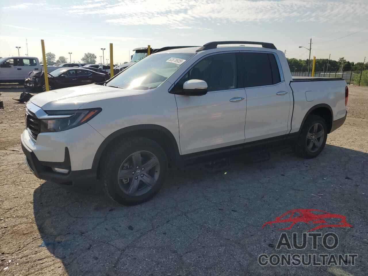 HONDA RIDGELINE 2022 - 5FPYK3F71NB025881