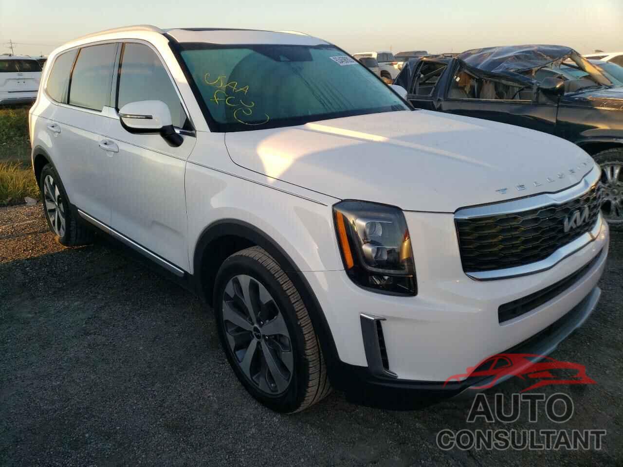 KIA TELLURIDE 2022 - 5XYP34HC2NG211892