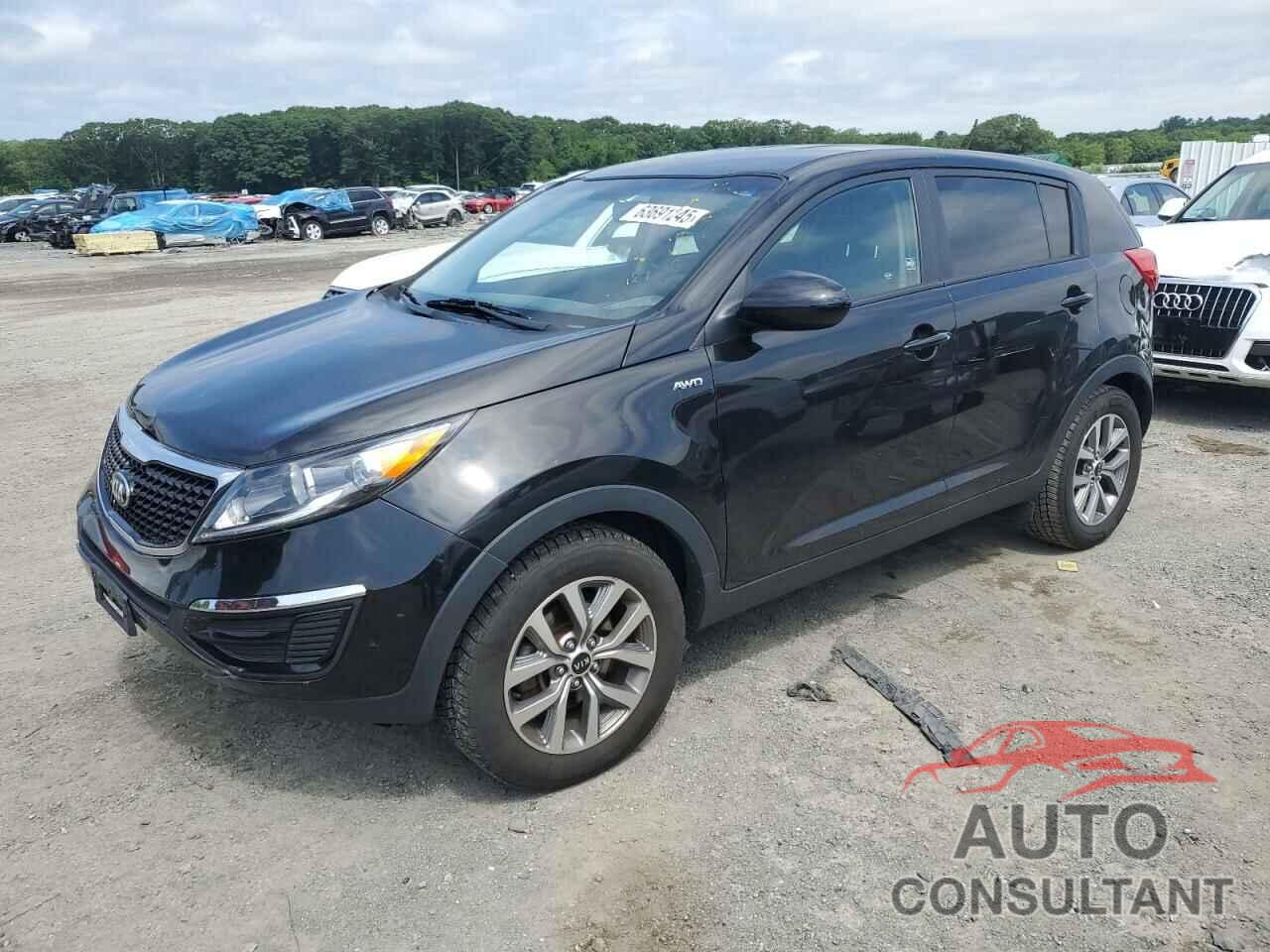 KIA SPORTAGE 2016 - KNDPBCAC1G7880937