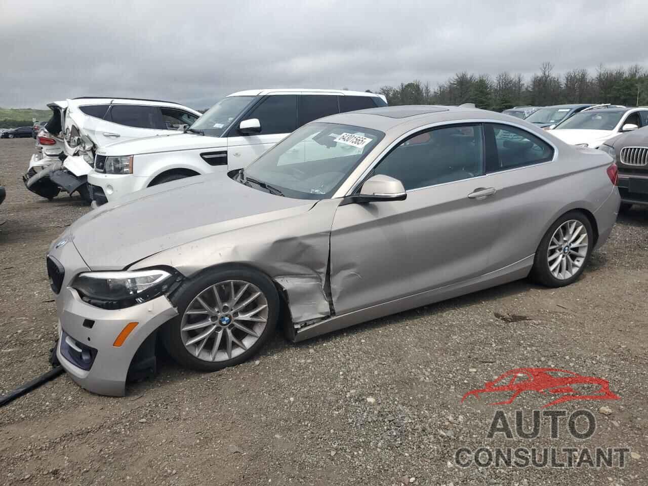 BMW 2 SERIES 2016 - WBA1G9C52GV599781