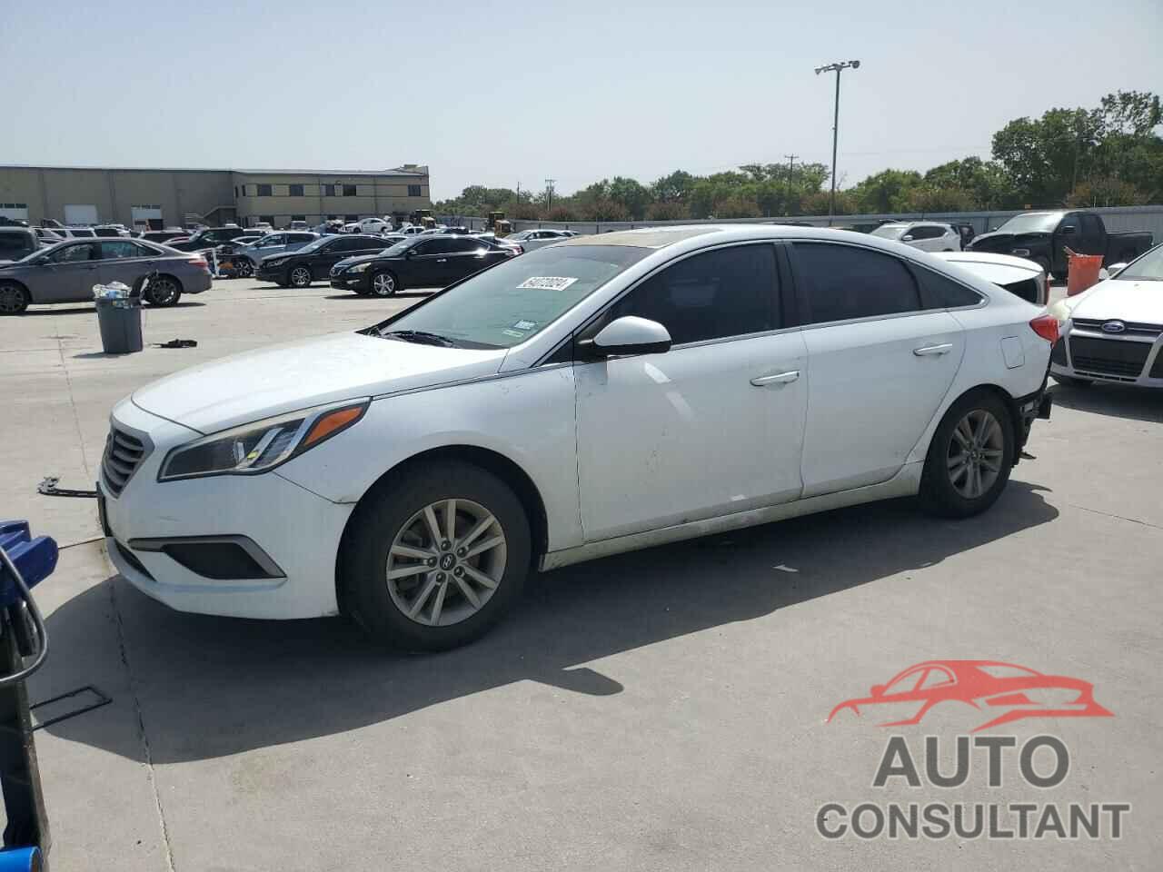 HYUNDAI SONATA 2017 - 5NPE24AF6HH562414