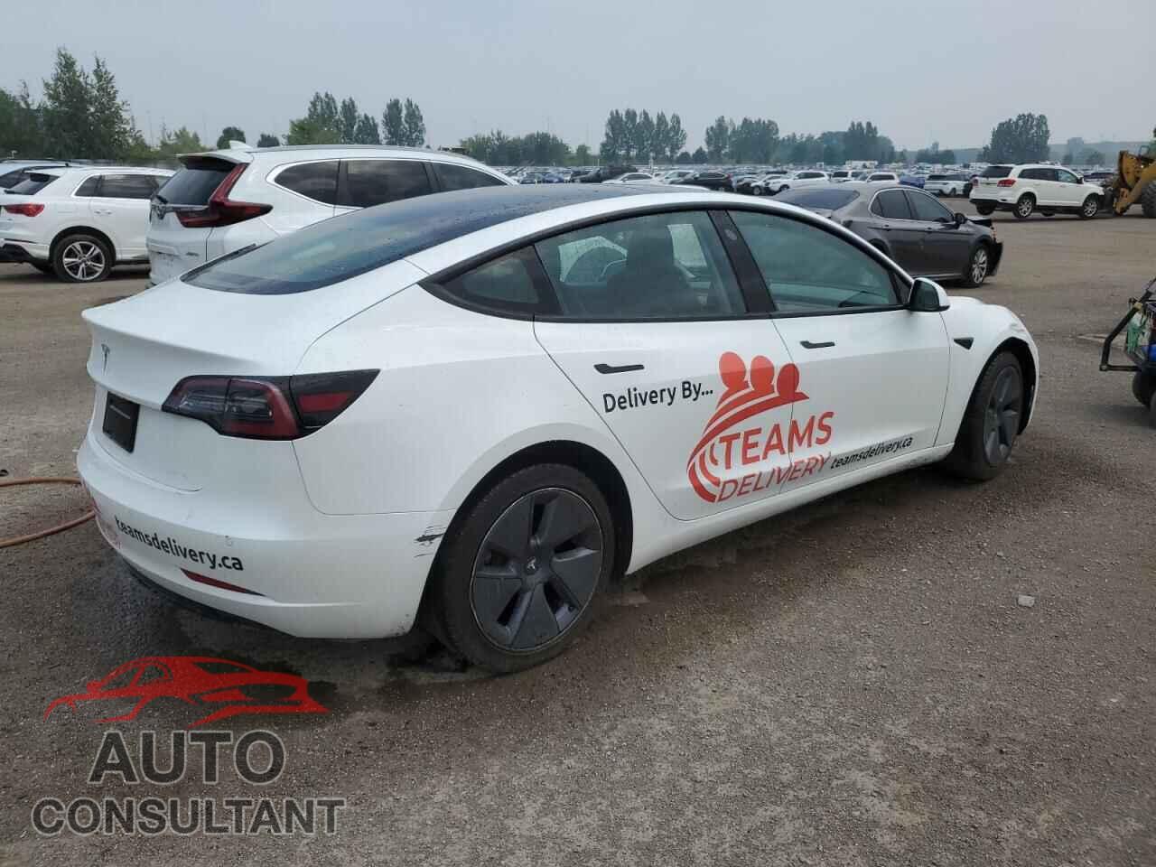 TESLA MODEL 3 2021 - 5YJ3E1EAXMF918528