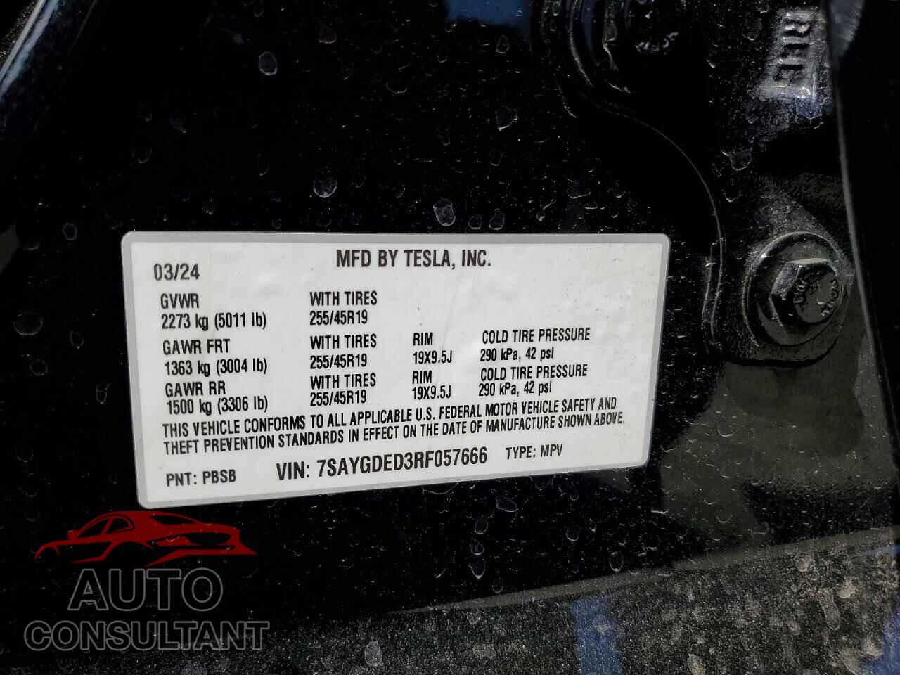 TESLA MODEL Y 2024 - 7SAYGDED3RF057666