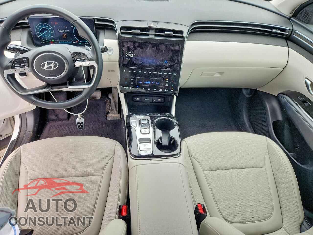 HYUNDAI TUCSON 2023 - KM8JFCA1XPU120981