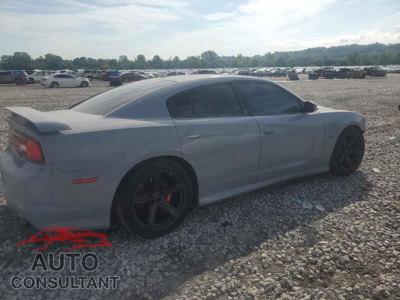 DODGE CHARGER 2013 - 2C3CDXEJ9DH521185