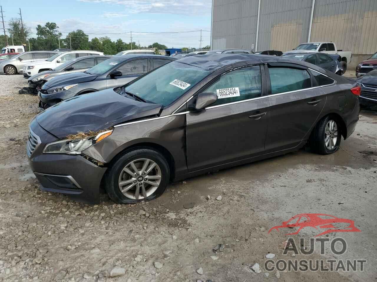 HYUNDAI SONATA 2016 - 5NPE24AF0GH298833