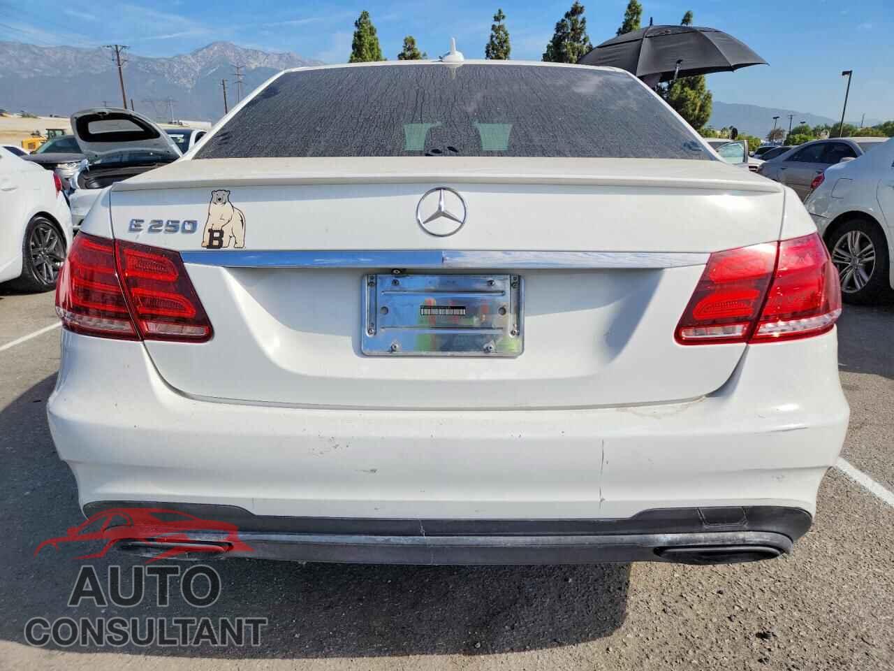 MERCEDES-BENZ E-CLASS 2014 - WDDHF0EB5EA995605