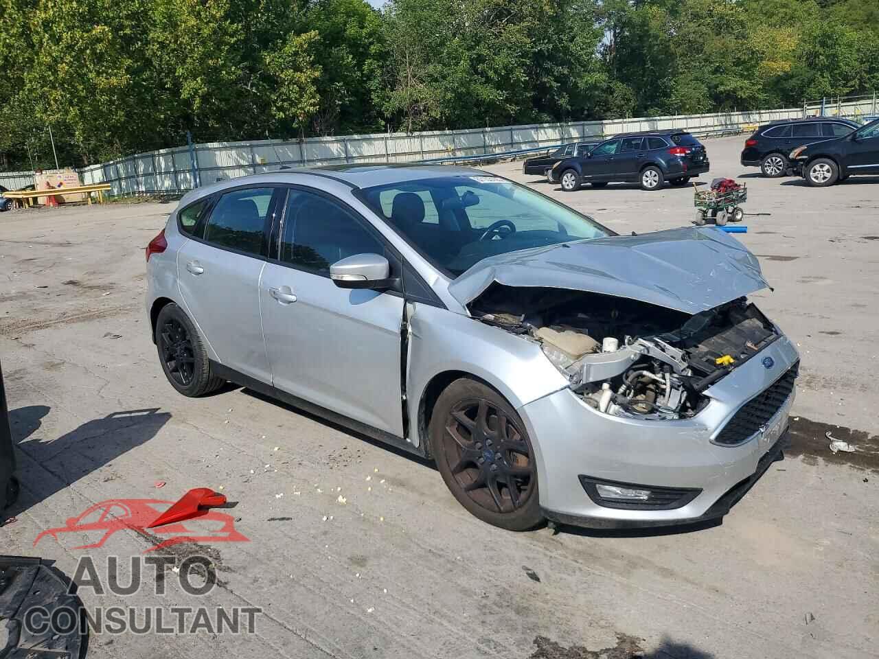 FORD FOCUS 2016 - 1FADP3K21GL332802