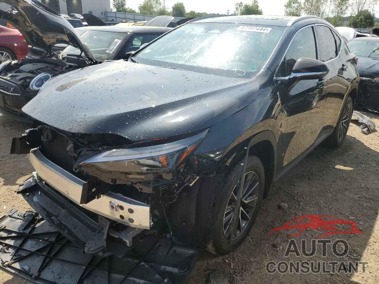 LEXUS NX 350 BAS 2025 - 2T2AGCEZ5SC065262