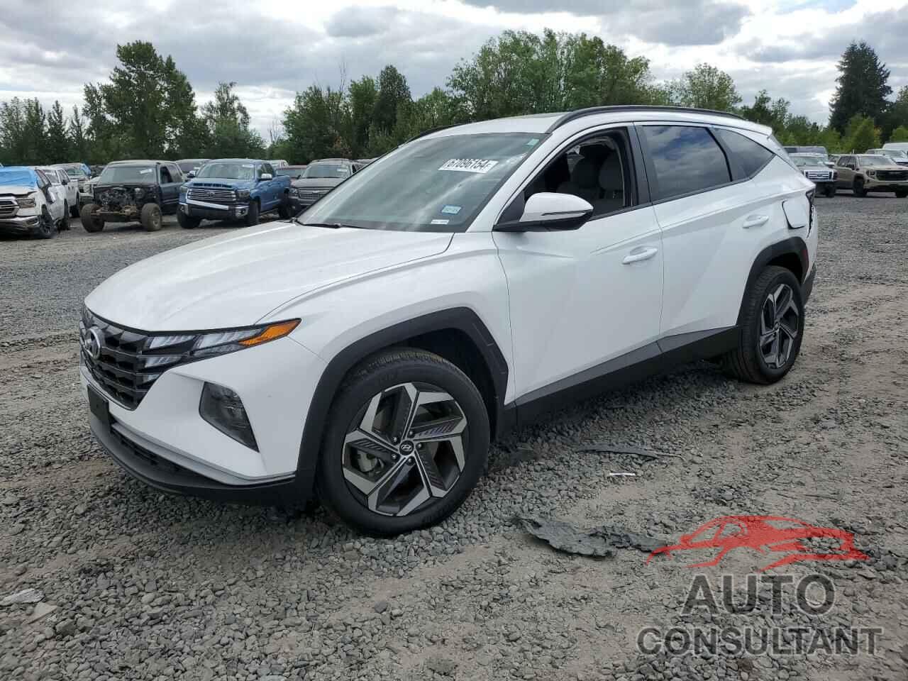 HYUNDAI TUCSON 2023 - 5NMJFCAE5PH219108