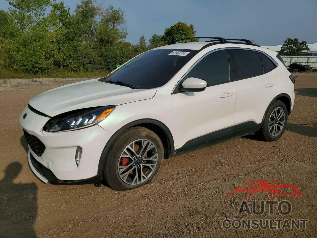 FORD ESCAPE 2020 - 1FMCU0H66LUB61066