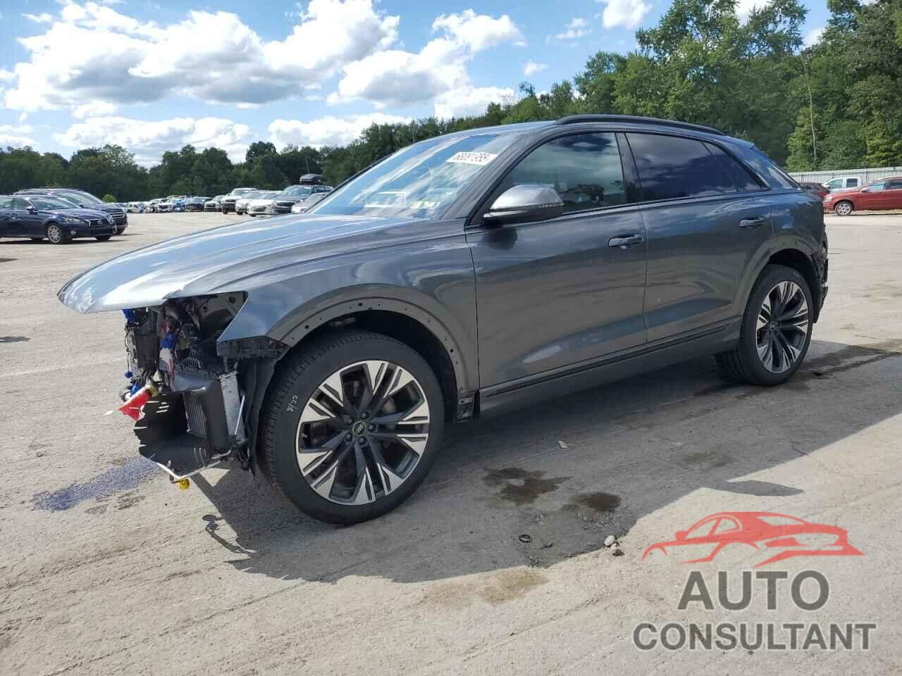 AUDI Q8 2025 - WA1EVBF14SD009440