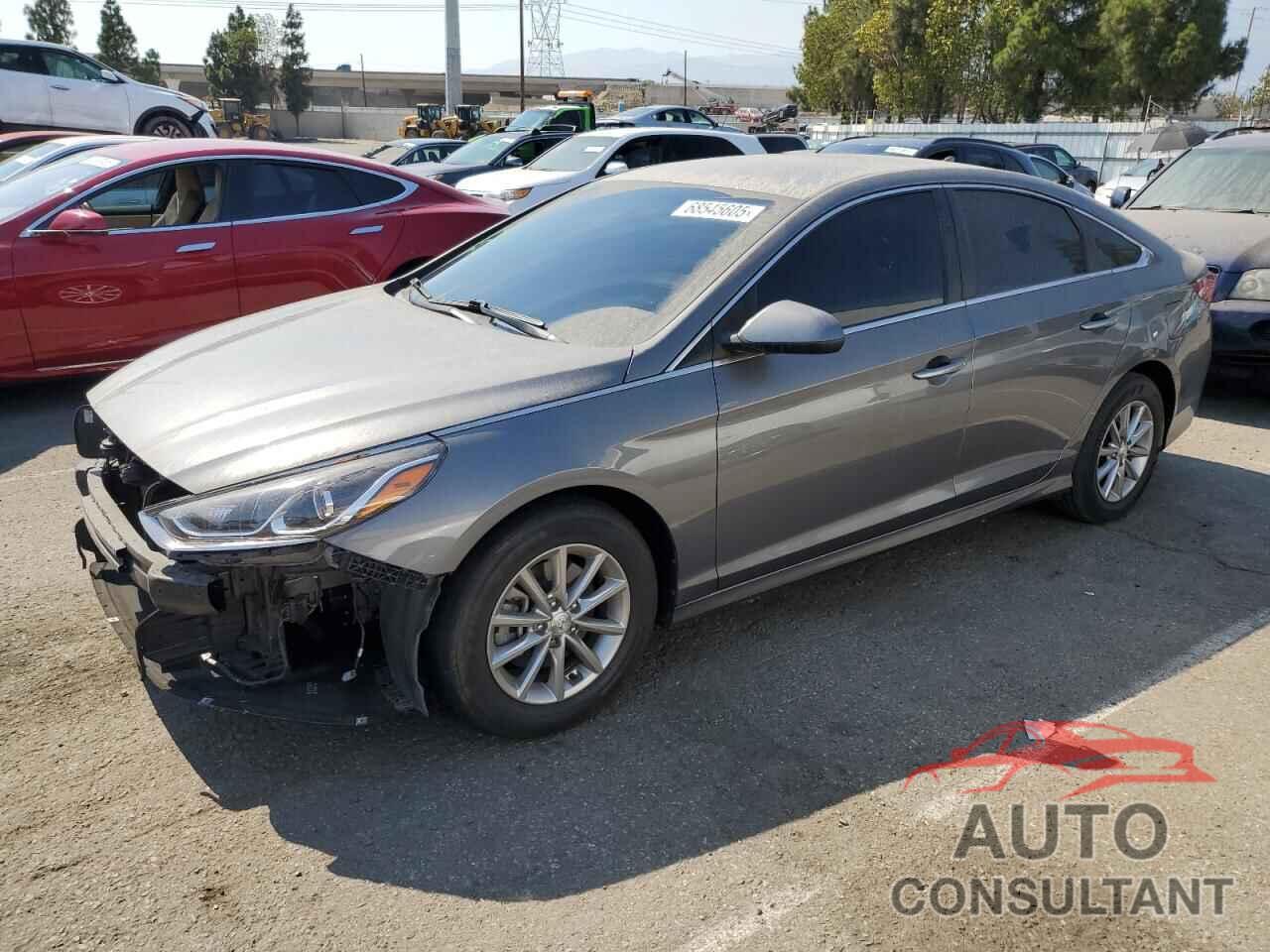 HYUNDAI SONATA 2019 - 5NPE24AF8KH794388