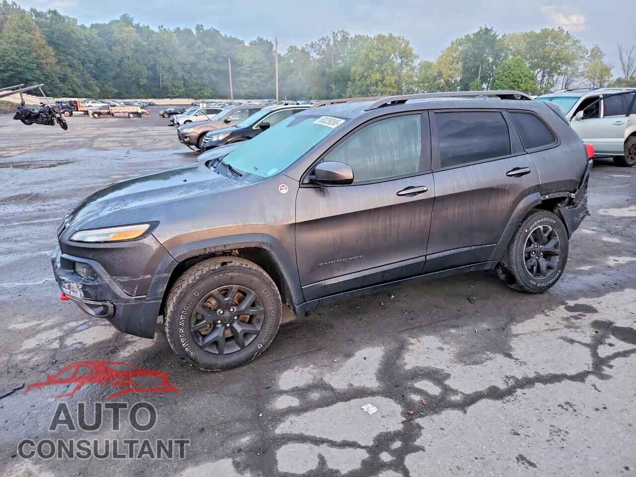 JEEP CHEROKEE 2016 - 1C4PJMBB9GW123952