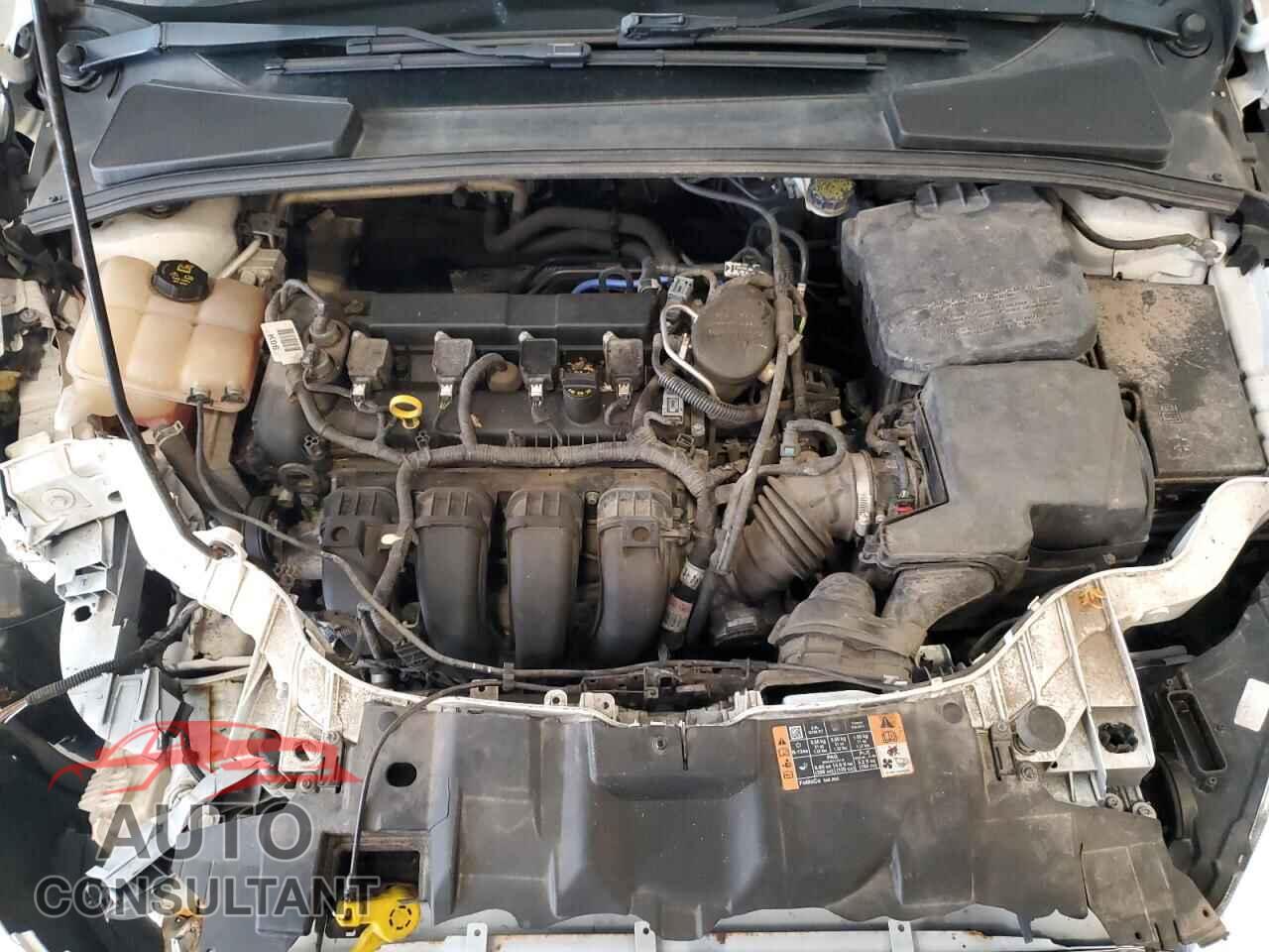 FORD FOCUS 2016 - 1FADP3F29GL310962