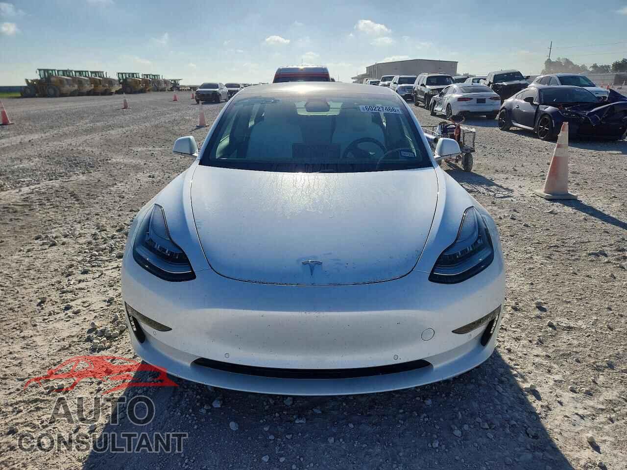 TESLA MODEL 3 2019 - 5YJ3E1EB9KF365988