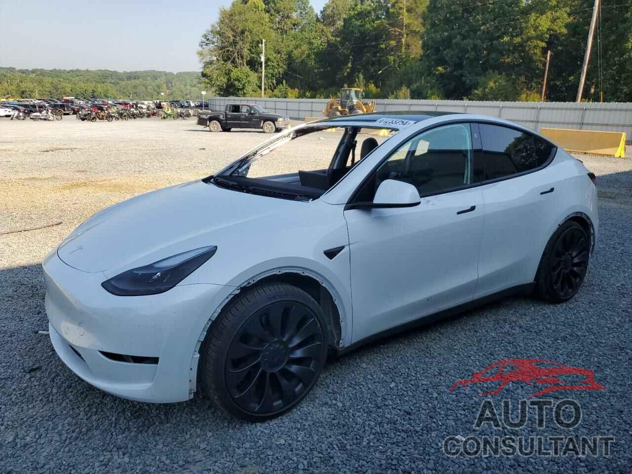 TESLA MODEL Y 2023 - 7SAYGDEF0PF707584