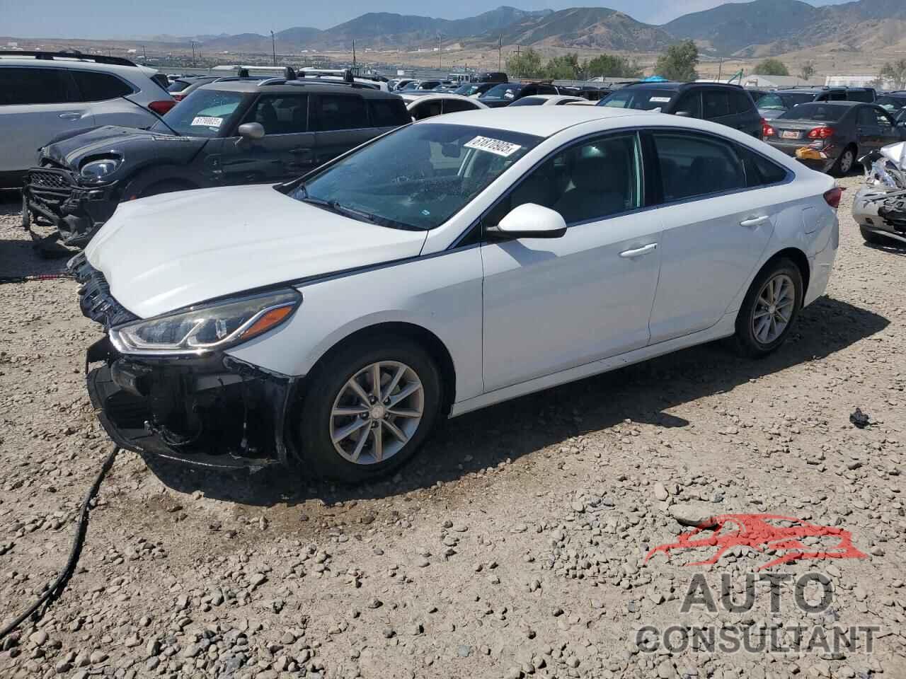 HYUNDAI SONATA 2018 - 5NPE24AF2JH601375