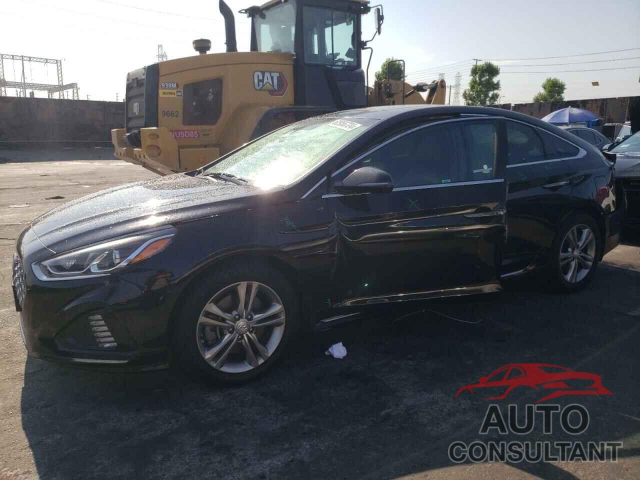 HYUNDAI SONATA 2019 - 5NPE34AFXKH769280