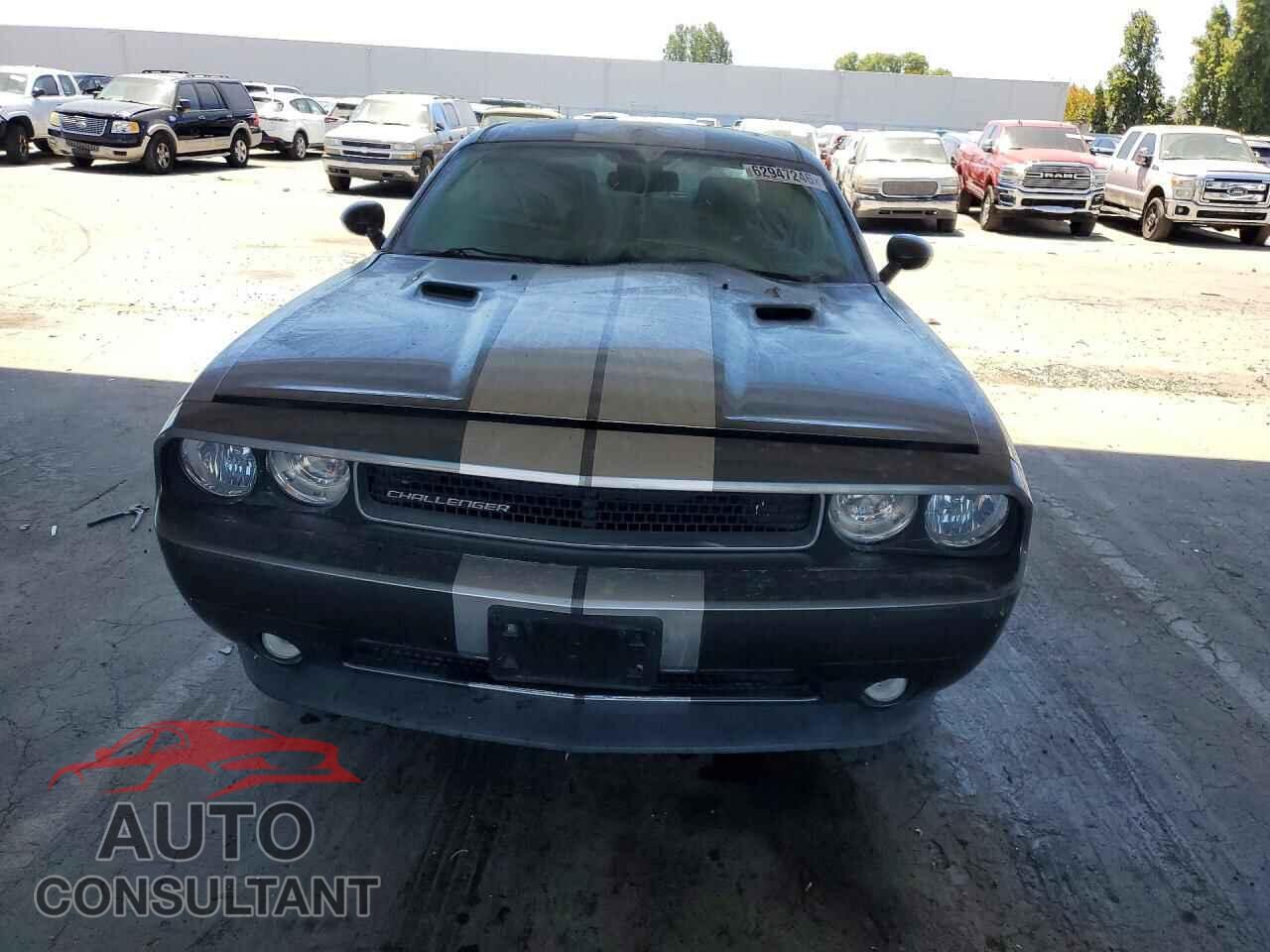 DODGE CHALLENGER 2012 - 2C3CDYAG9CH194074