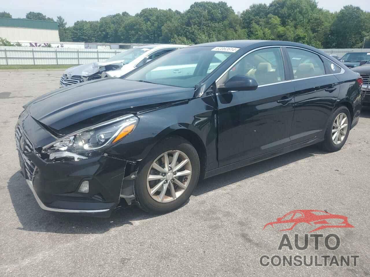 HYUNDAI SONATA 2019 - 5NPE24AF2KH750256