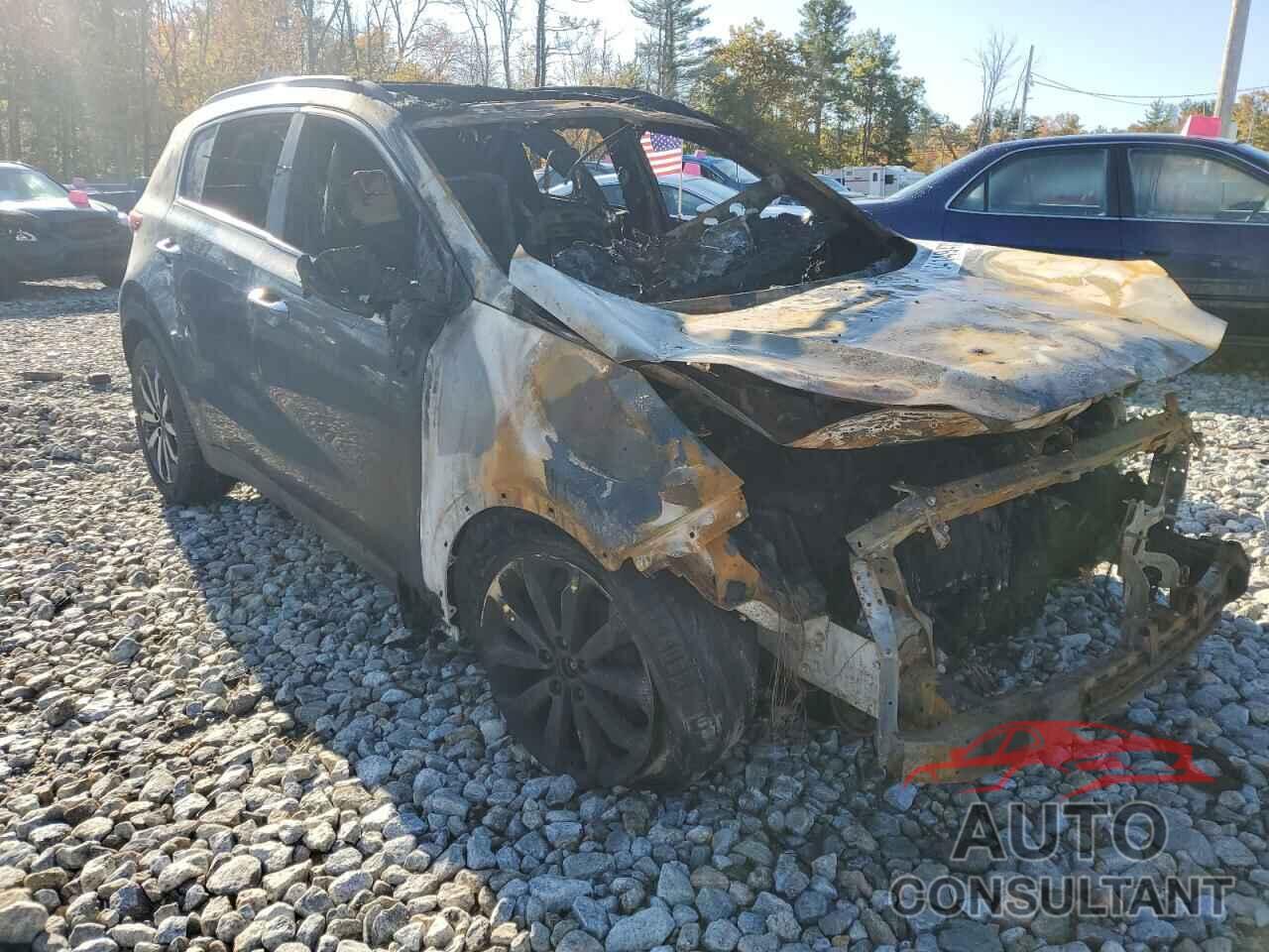 KIA SPORTAGE 2017 - KNDPNCAC9H7137810