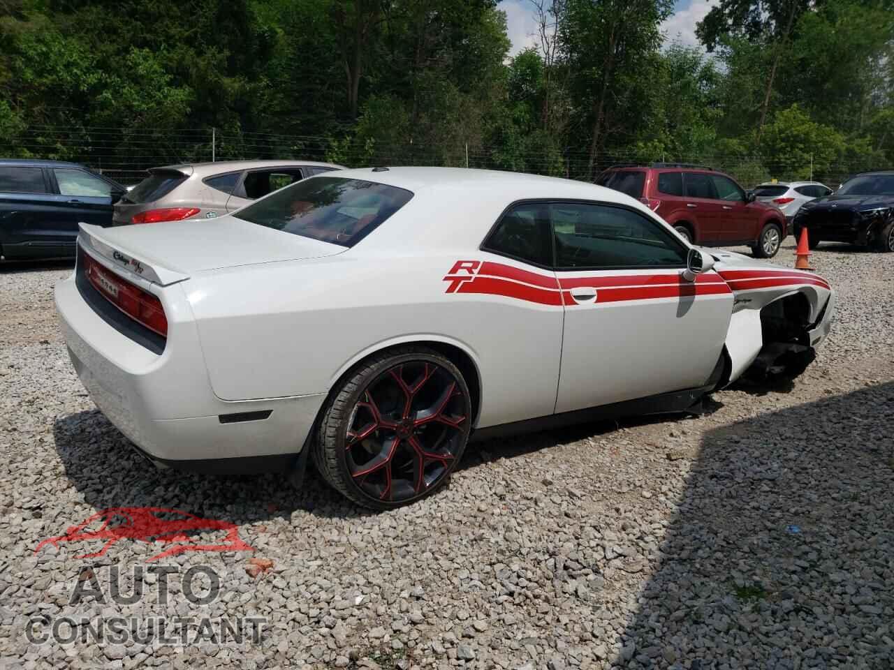 DODGE CHALLENGER 2014 - 2C3CDYBTXEH153967